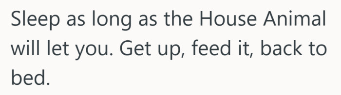 Honestly sounds like a solid holiday plan, minimal people and maximum naps included.