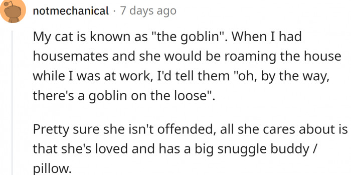 The cat doesn't really care what it's called