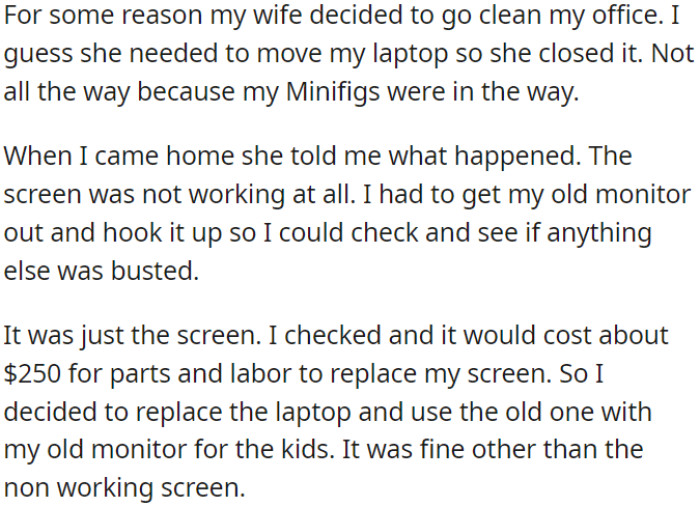When OP's wife cleaned his office, she accidentally closed his laptop, but the Minifigs were in the way, and the screen stopped working.