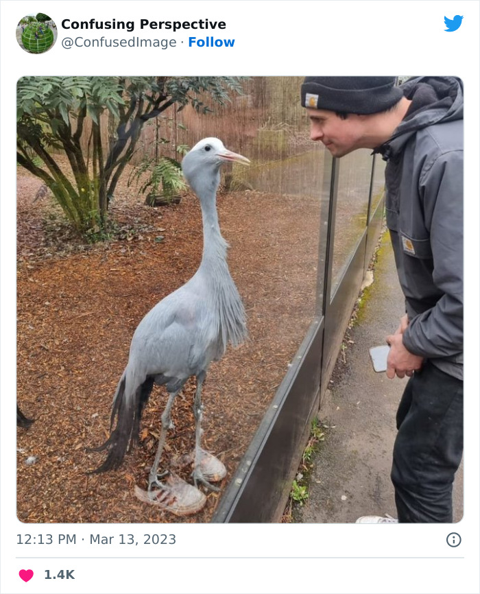 41. Don't chase it, okay?