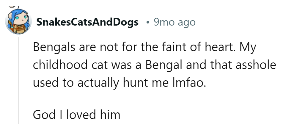 Bengals: Where love bites back. Wouldn't trade it for the world!