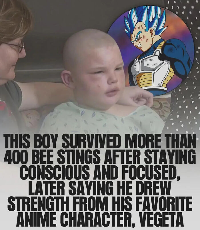 "Bee Sting Kid, Successor Of Vegeta"