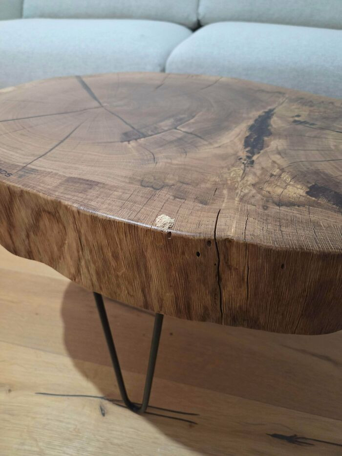 "Woodworm In New Furniture"