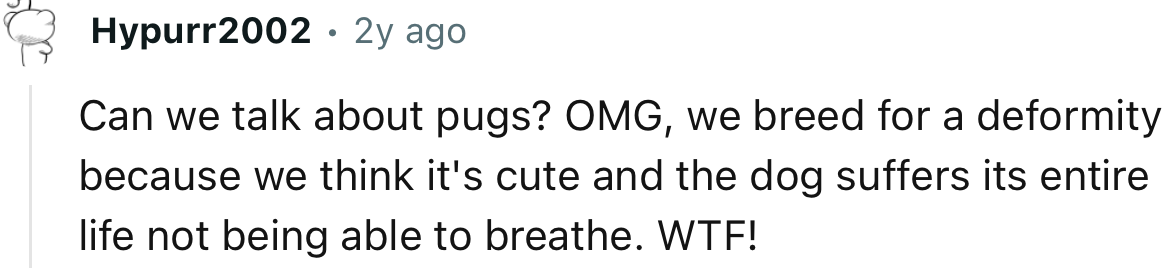 “Can we talk about pugs? OMG, we breed for a deformity because we think it's cute.”