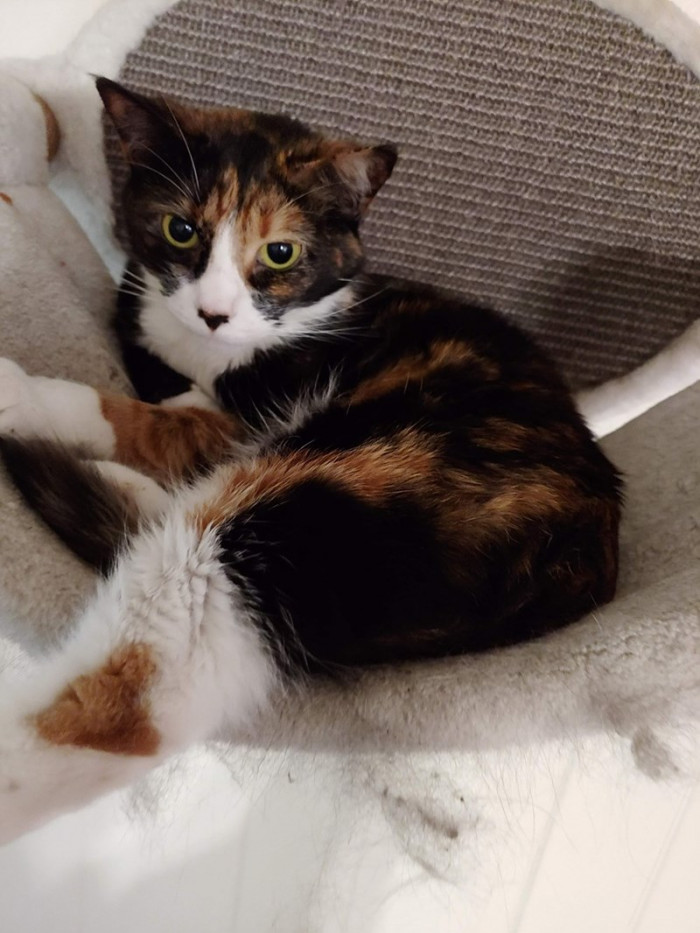 Here Is The Sweet Sweet Noodles