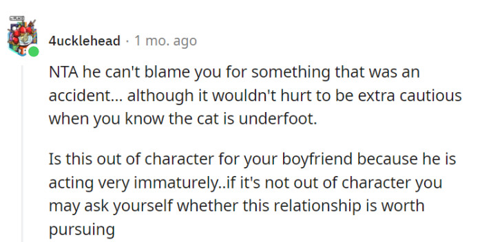 Accidents happen, but a dash of caution around a cat's path never hurts.