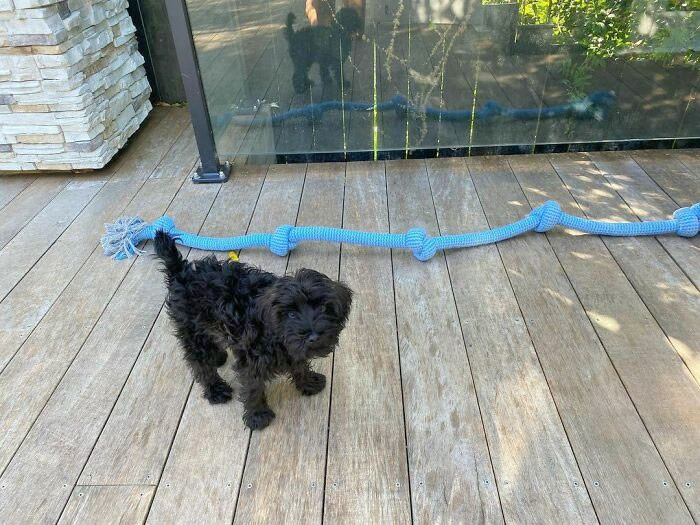 15. “She will eventually grow into it.”