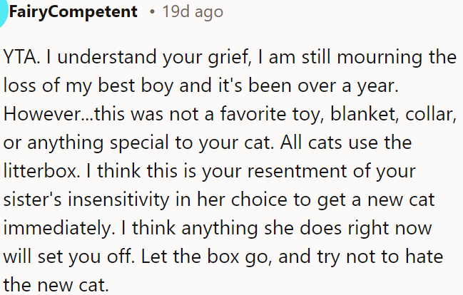 The litter box wasn't unique to his cat—it was OP's frustration with his sister's quick decision to get a new cat.