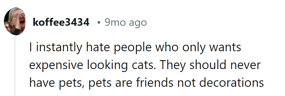 Pets: not accessories, but companions. The real deal, not just for show.