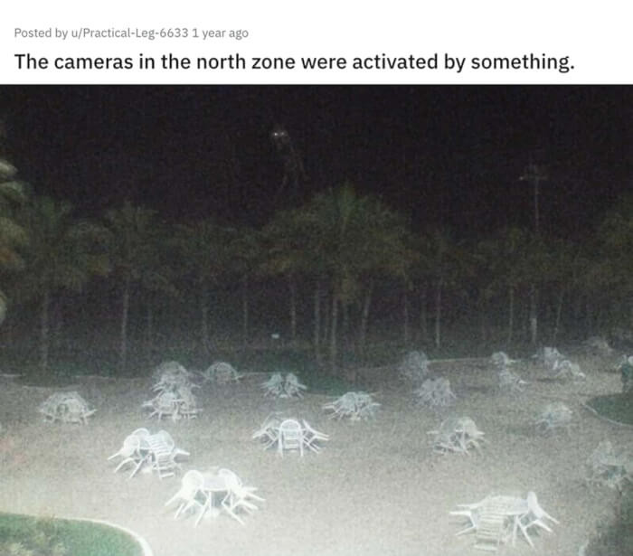 9. You might have to look at this one for a while before you see what we all see.