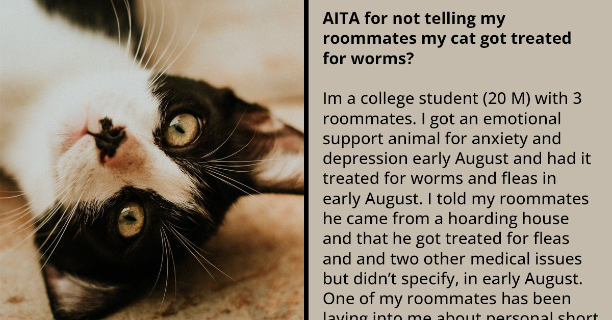 Guy's Roommate Calls His Cat "Disgusting" And Gets Mad At Him For Not Saying Cat Got Treated For Worms