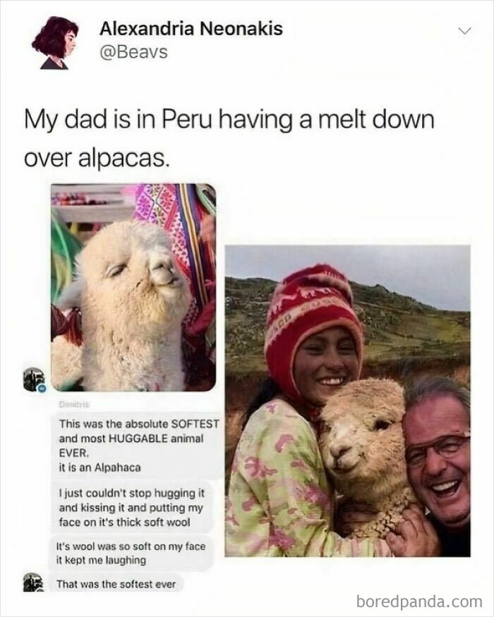 "Dads Are Great"