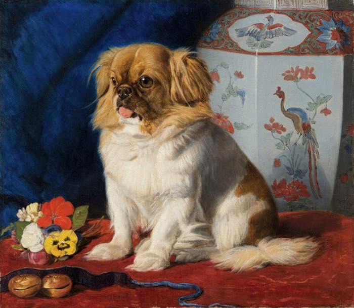 In 1861, Dunne gave the dog to Queen Victoria, noting: