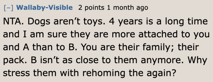 If the sister gets her dogs back, they would just be stressed.