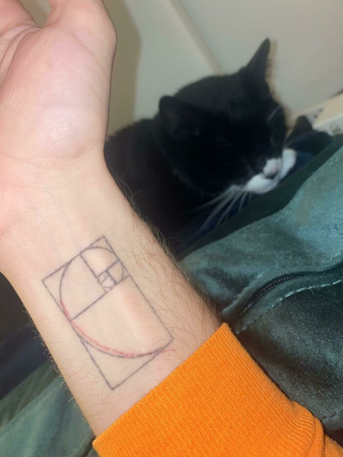 2. My Cat Scratched Me Perfectly In Line With My Golden Spiral Tattoo