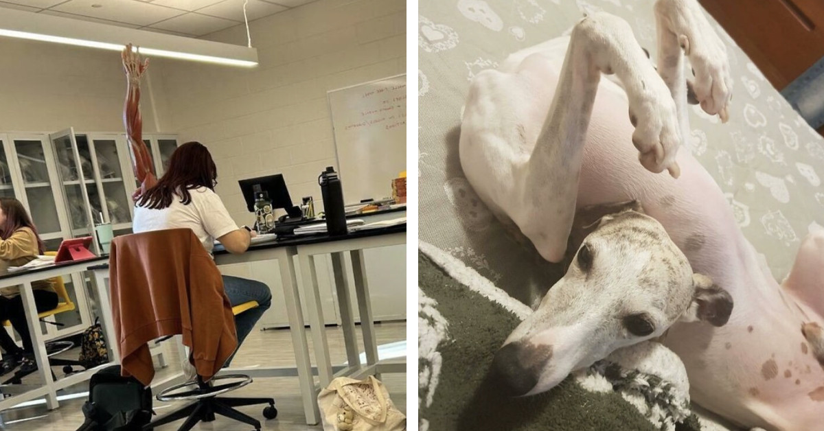 50 Photos That Make Your Brain Do A Double-Take