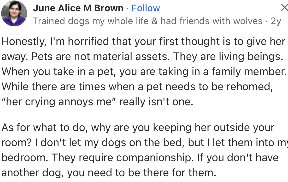 This user can’t understand why the dog is outside the room in the first place