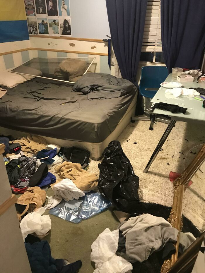 "My Mother Finally Kicked My Brother Out Tonight—this Is The Godforsaken Mess He Left In Our Otherwise Clean House. Those Black Flecks On The Rug Are Exactly What You Think They Are, And I’m Disgusted"