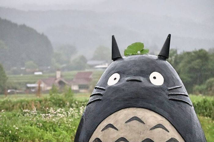 Please, Totoro, give me some advice on how to pose