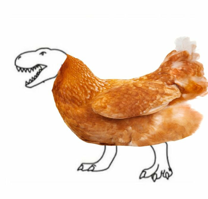 31. A present-day recreation