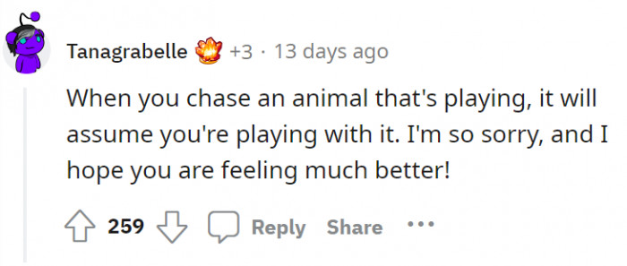 Here is another tip about the dog incident. Best wishes to OP.