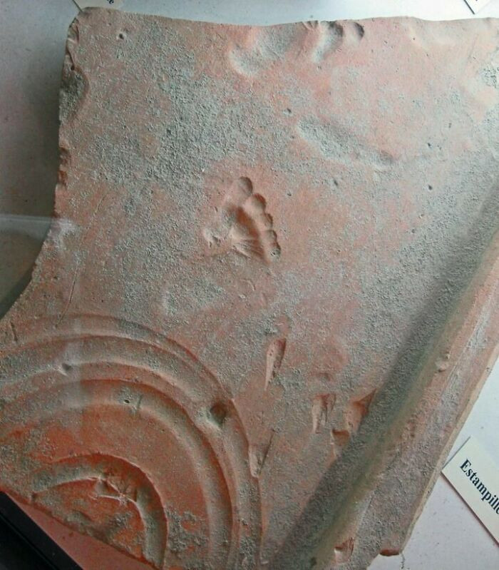 A Roman baby's footprint, pressed into red clay nearly 2,000 years ago, was found in Vaison-la-Romaine, France - an accidental mark left while the tile was still drying.