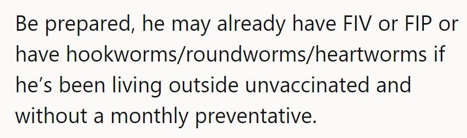 Be prepared—Nibbles might already have FIV, FIP, or worms from living outside unvaccinated without preventatives.