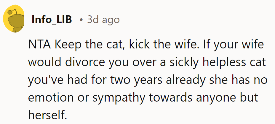 NTA. Keep the cat—if she’d divorce over a sickly cat, she lacks sympathy and emotion.