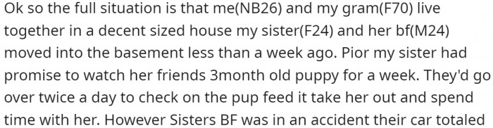 OP lives with their grandmother in a large house. Their sister and her boyfriend just moved into the basement.