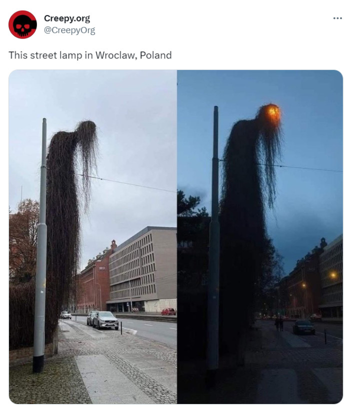 23. Street Lamp Cryptid