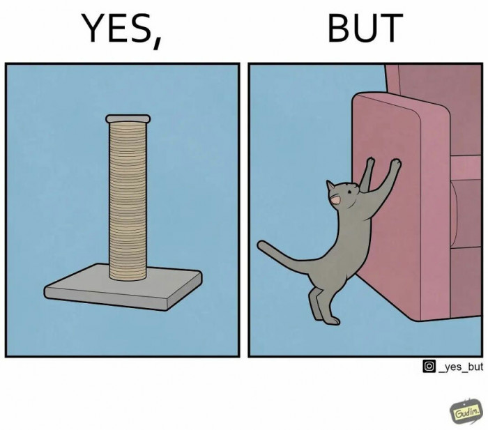 1. Why play with the toy that was bought just for you when there's a beautiful sofa waiting for you?