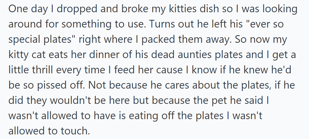 OP Accidentally Broke Her Cat's Dish, Found His 'Special Plates,' and Now Her Cat Eats from Them, Secretly Enjoying Defying His Rules.