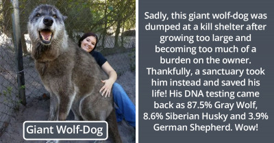 30 Awkward, Upsetting, And Interesting Facts You Might Have Never Come Across Before