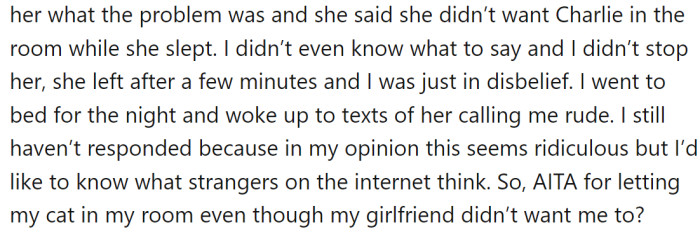 R got upset and left, later accusing OP of being rude via text.