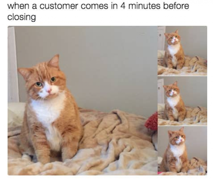 65. Why? Why would you do this?