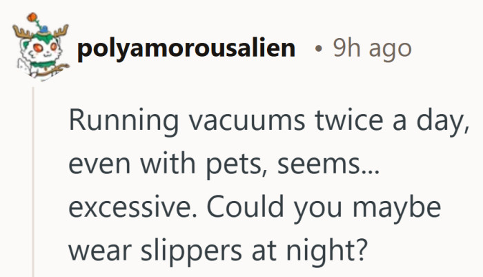 Not everyone sees two daily vacuum runs as necessary. A pair of slippers might feel like the simpler fix.