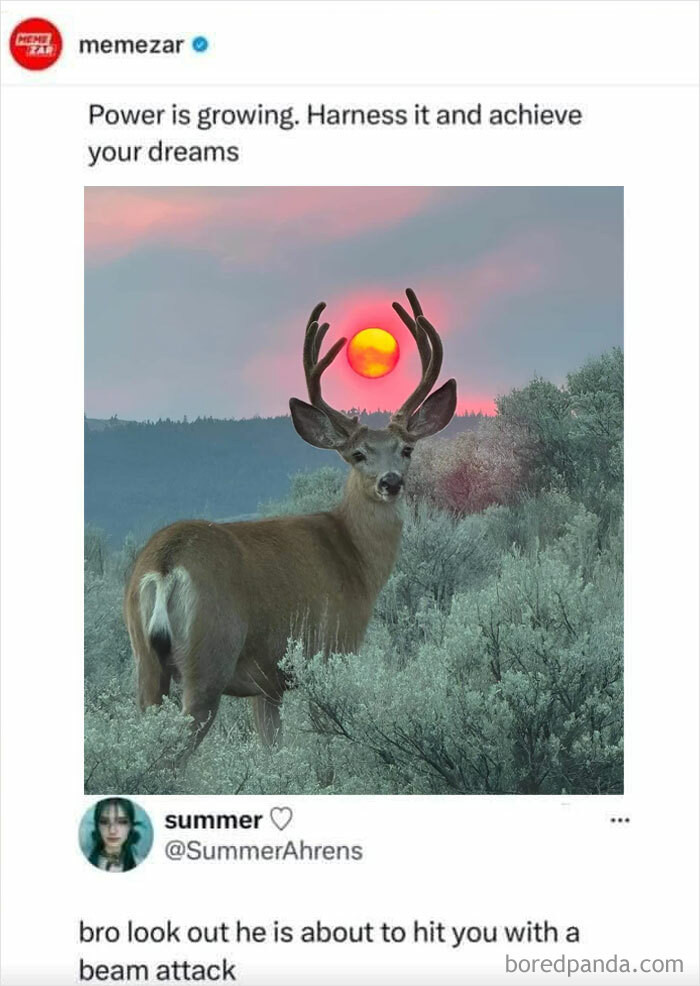 "Deer, The Evergrowing Energy Sustainer"