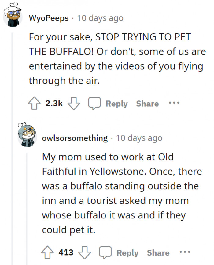 5. Petting the buffalo even when you have a high chance of being sent flying through the air.