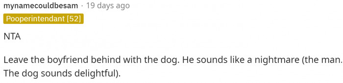 I think this is a good idea to leave the dog with the boyfriend since he's not okay with that.