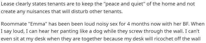 OP starts off her post by explaining that her lease states to keep quiet, and then she discusses how her roommate is making loud noise at night.