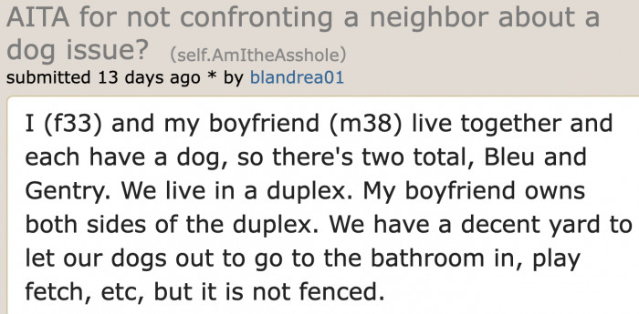 The OP opens her story about her property and the dogs that she and her boyfriend own.
