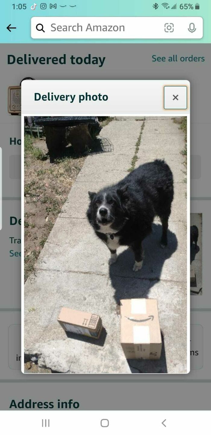 "This Is The Picture Amazon Sent My Bill To Say The Packages Were Delivered To A Family Member Directly"