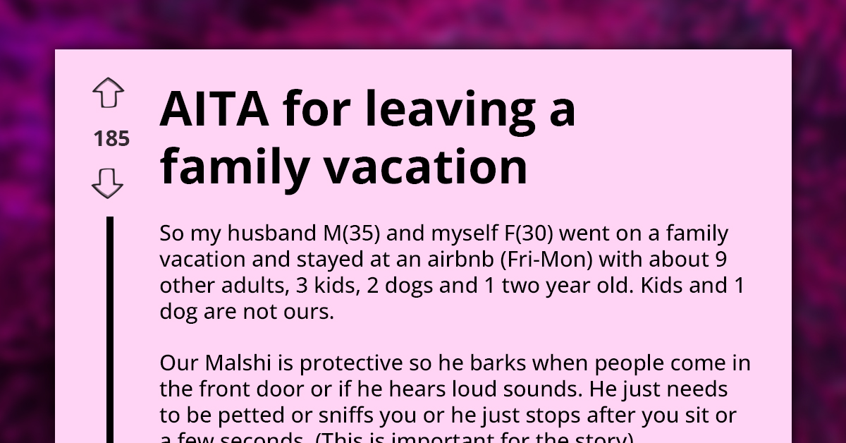 9 Adults, 3 Kids, 2 Dogs, and Baby on Family Vacation—Drama Erupts as Parents and Dog Owners Clash