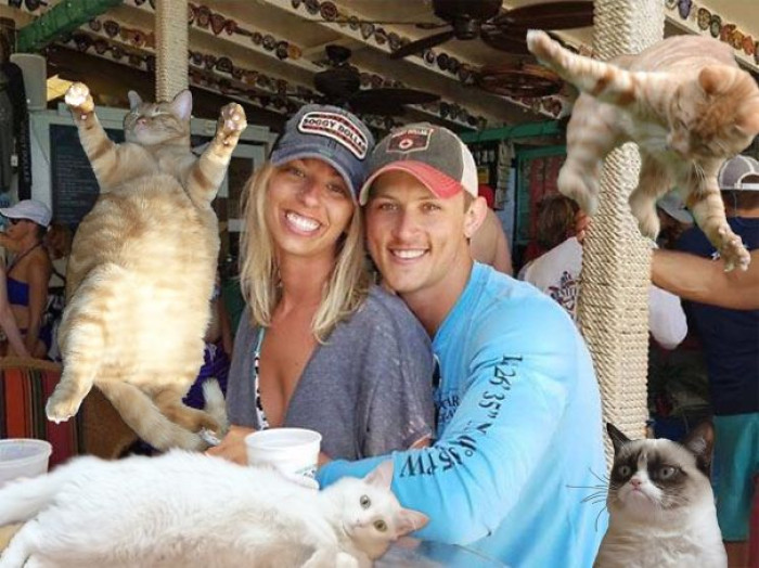 19. This person must be a lover of cats