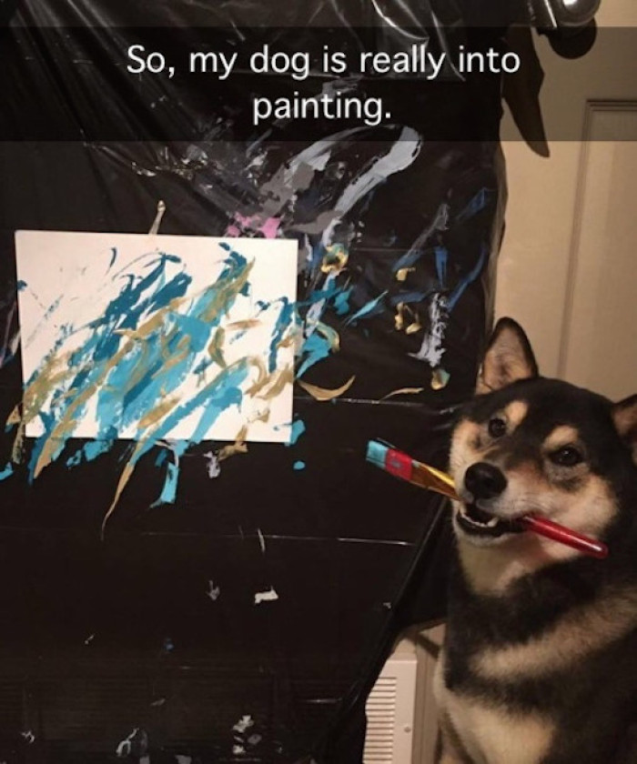 13. From Pup to Picasso: When Dogs Become Artists