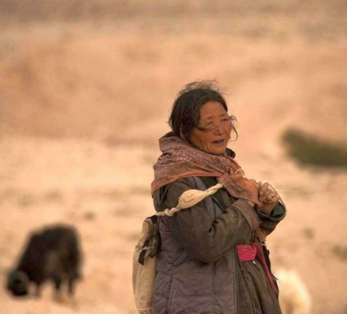 Ladhaki Goatherder, South East Asia. (Image - Arati Kumar-Rao)