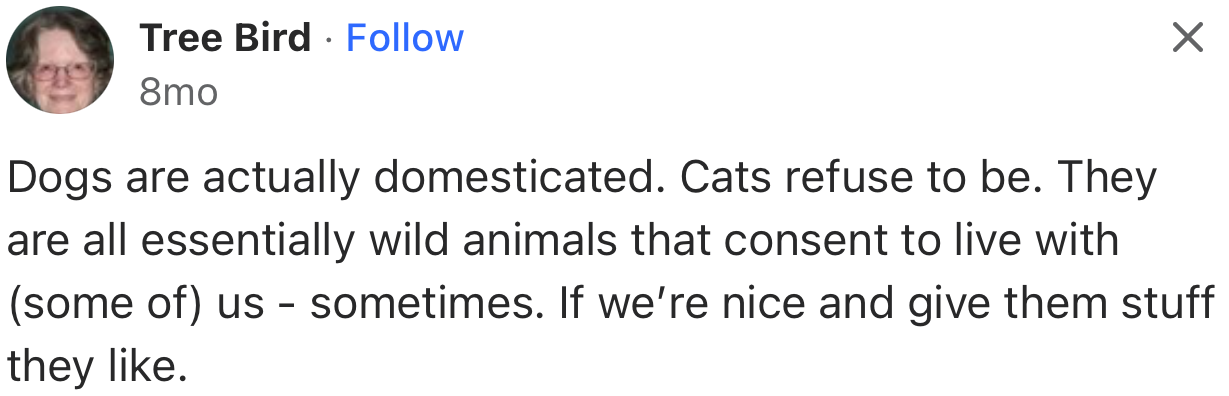 “Dogs are actually domesticated. Cats refuse to be.”
