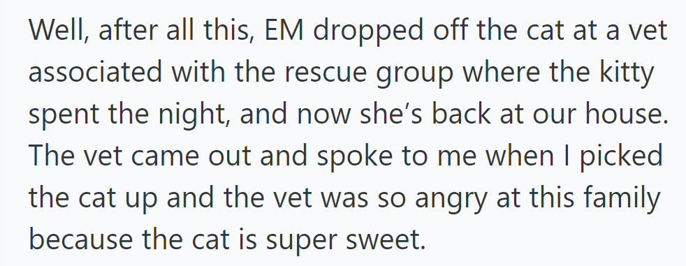 EM returns the cat to the vet, who is angry at the family. Cat is back home; vet confirms she's sweet.
