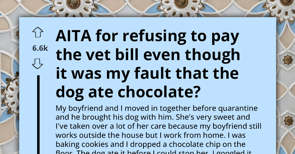 Girlfriend Refuses To Pay For A Vet Visit She Said Wasn't Needed