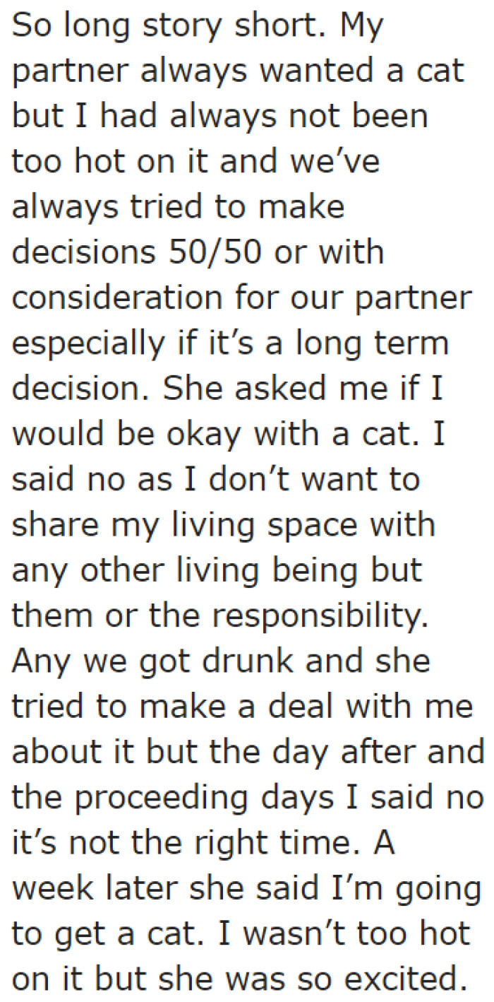 The Girlfriend Tried Convincing the OP That They Should Get a Cat. The OP Refused Each Time.